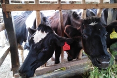 WhatsApp-Image-2024-01-31-at-14.36.23-1