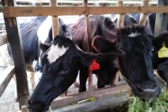 WhatsApp-Image-2024-01-31-at-14.36.24