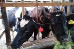 WhatsApp-Image-2024-01-31-at-14.36.25