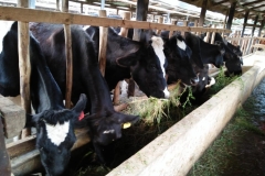 WhatsApp-Image-2024-01-31-at-14.36.26